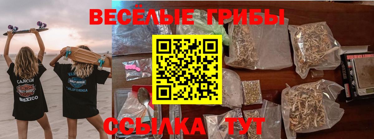Чебоксары  Галлюциногенные грибы Cubensis  Вход с VPN  Псилоцибиновые грибы ЛСД 
